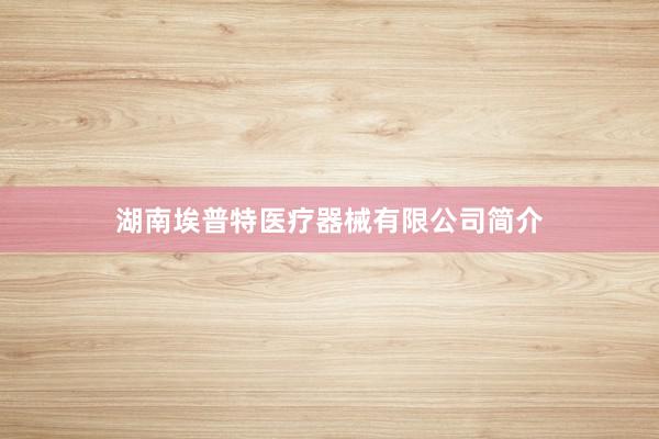 湖南埃普特医疗器械有限公司简介