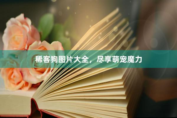 稀客狗图片大全，尽享萌宠魔力