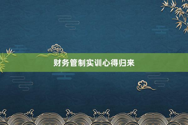 财务管制实训心得归来